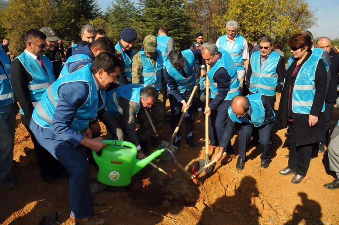 Akşehir&rsquo;de &lsquo;Geleceğe Nefes&rsquo; i&ccedil;in bin 453 fidan
