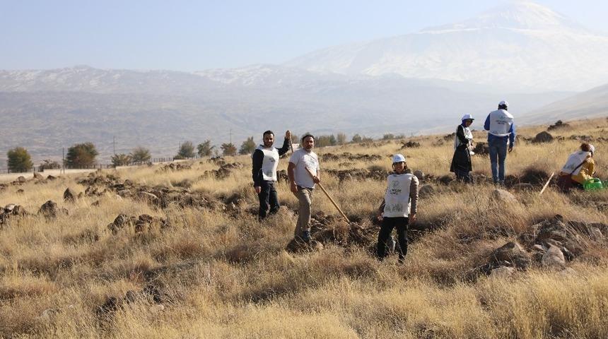 Ağrı Dağı eteğinde fidan dikimi