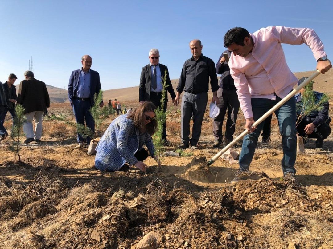 H&uuml;y&uuml;k&rsquo;ten ağa&ccedil;landırma seferberliğine 20 bin fidan desteği