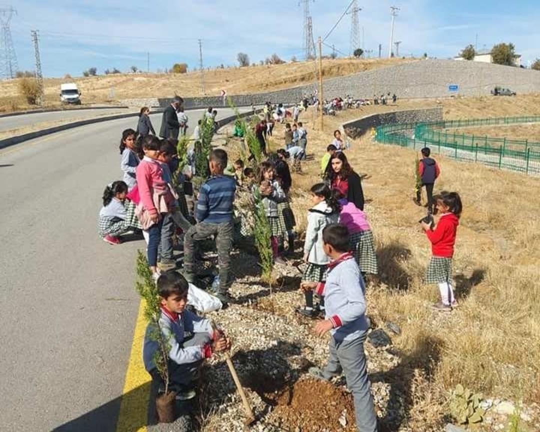 Sincik&rsquo;te bin fidan toprakla buluştu