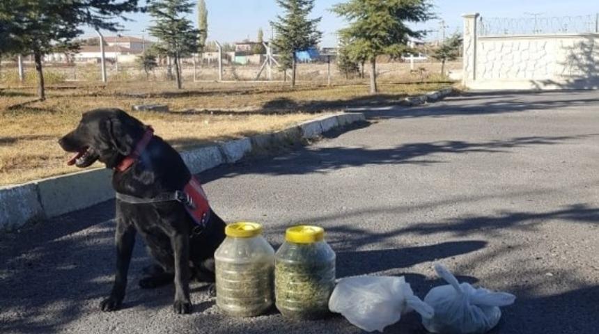 Niğde&rsquo;de 3 kilogram esrar ele ge&ccedil;irildi