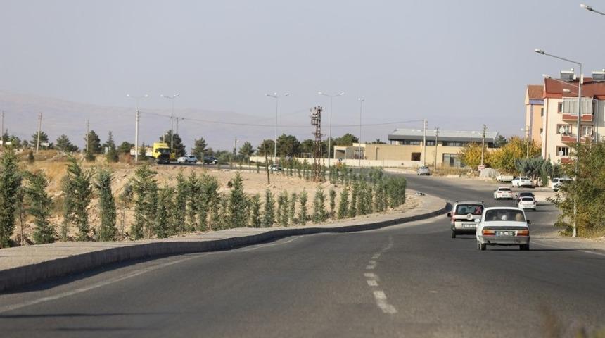 2000 Evler mahallesinde ağa&ccedil;landırma &ccedil;alışması yapıldı