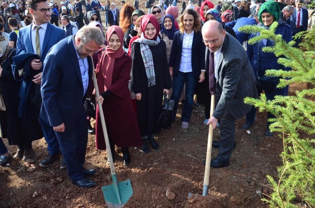 K&uuml;tahya&rsquo;da 250 bin fidan toprakla buluştu