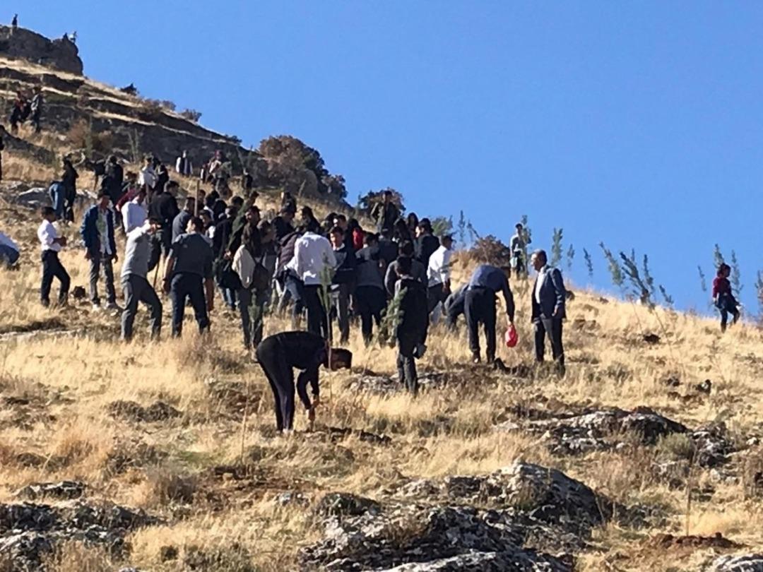 Gerc&uuml;ş&rsquo;te 3 bin fidan toprakla buluştu