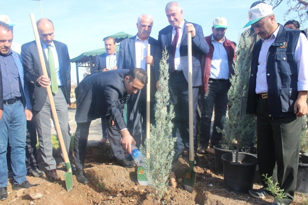 Kahta&rsquo;da, 2 bin 500 fidan toprakla buluştu