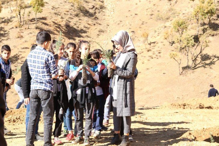 Hizan’da fidan dikimi G2