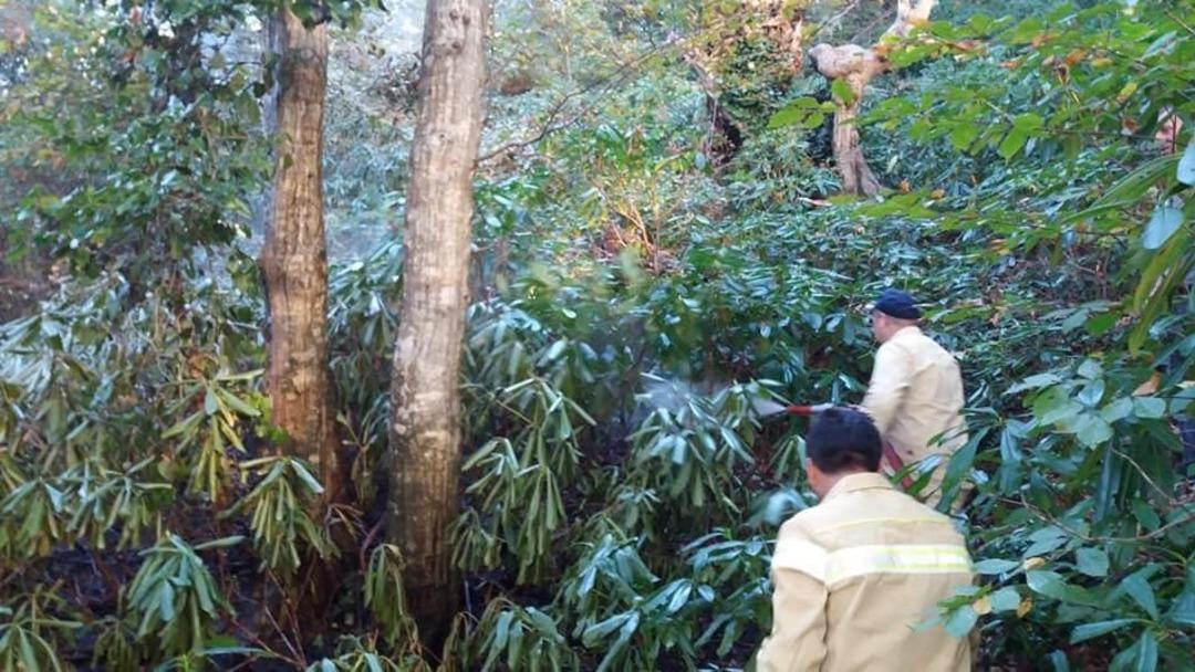 Ormanlık alanda &ccedil;ıkan yangın kontrol altına alındı