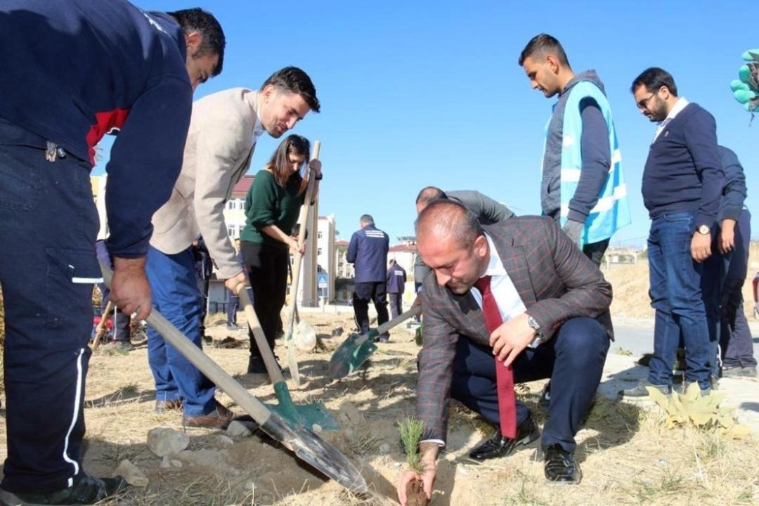 Edremit&rsquo;te 11 bin fidan dikildi