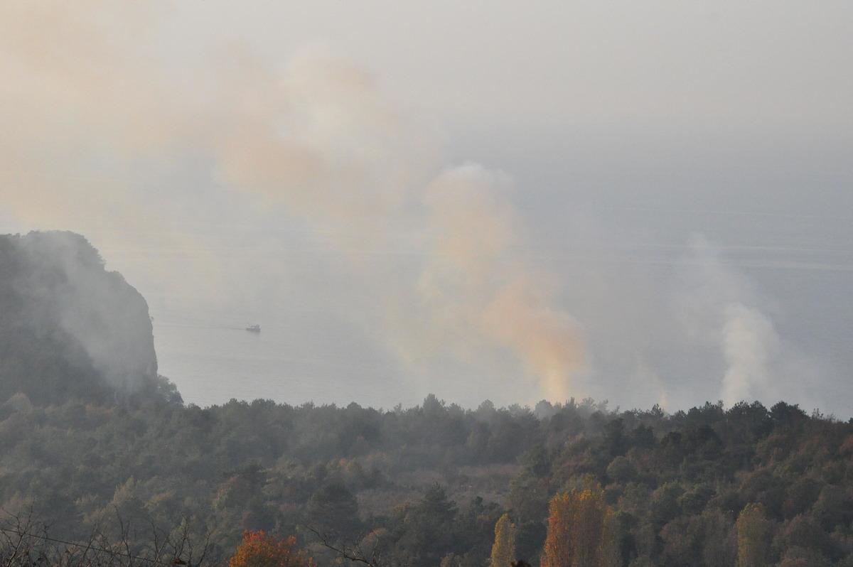 Bartın&rsquo;da orman yangını, 7 ev boşaltıldı
