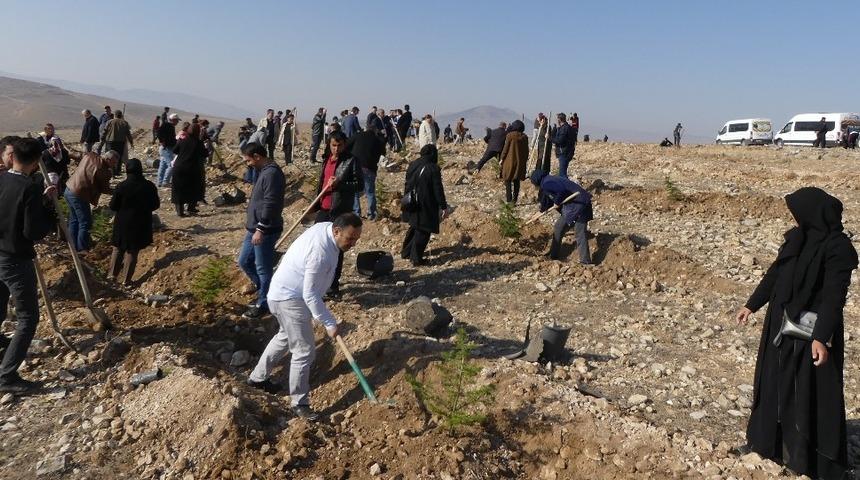 G&ouml;kh&ouml;y&uuml;k&rsquo;te fidanlar toprakla buluştu