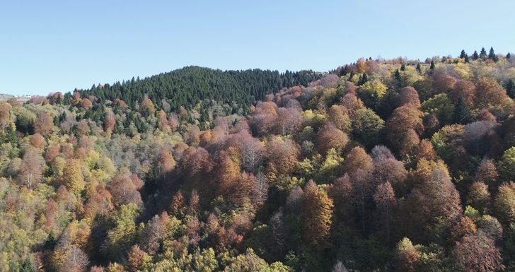 Karadeniz yaylalarında sonbahar G3