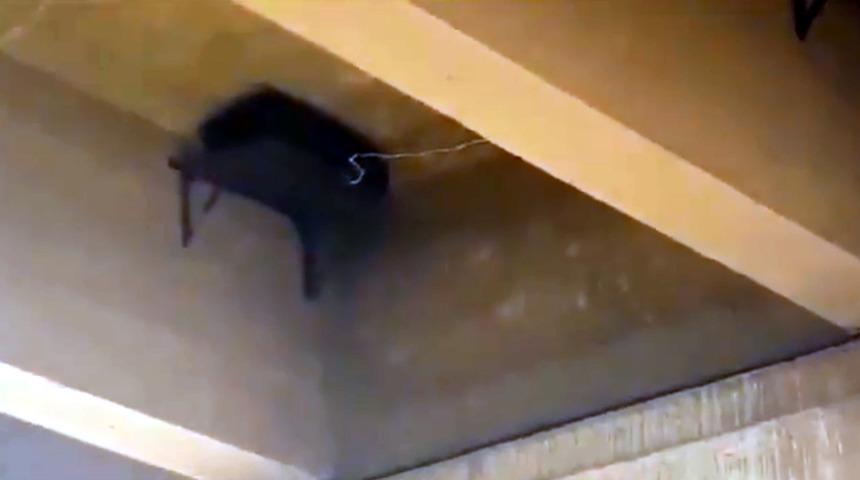 Teröristlerden hain tuzak! Milli Savunma Bakanlığı paylaştı