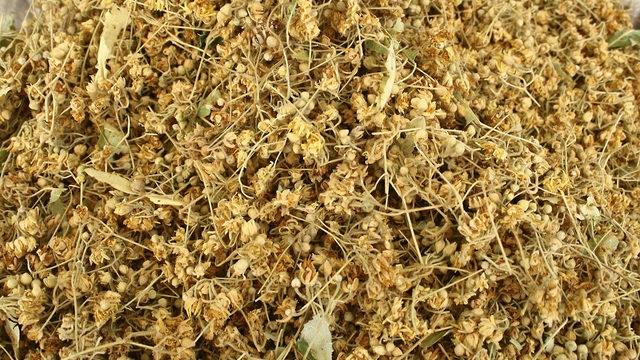 Ihlamurun faydaları nelerdir, Ihlamur hangi hastalıklara iyi gelir?