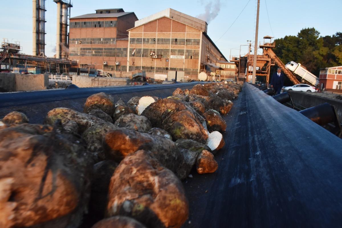Malatya Şeker Fabrikası'nda 25 yılın rekoru kırıldı