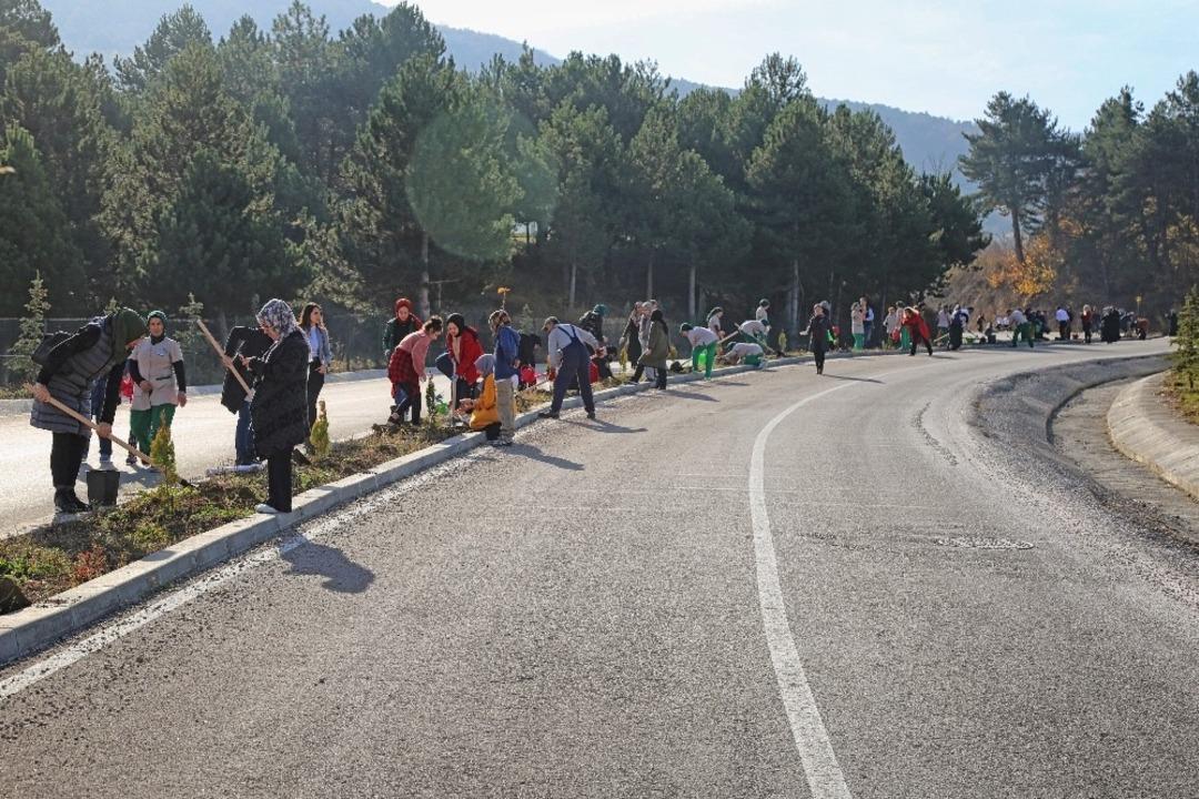 Narven&rsquo;de bin 500 fidan dikildi