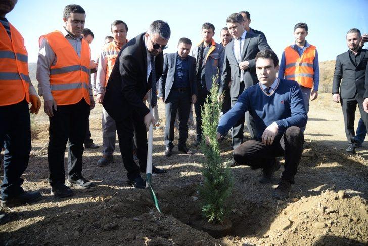 Başkan Çetin, Pursaklar’da ağaç dikti G2