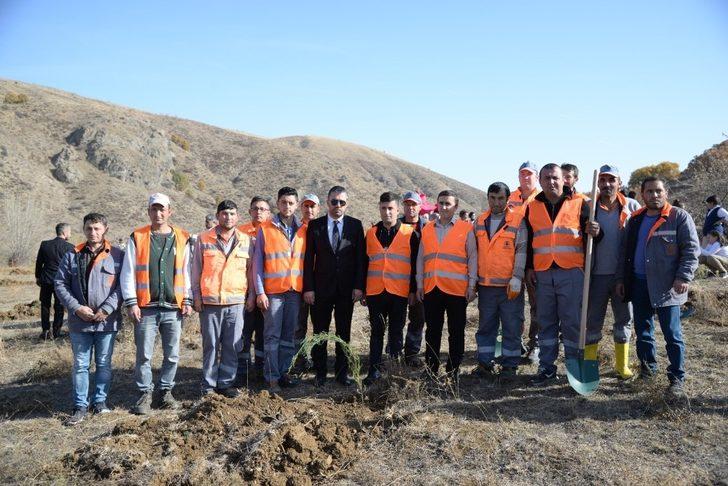 Başkan Çetin, Pursaklar’da ağaç dikti G3