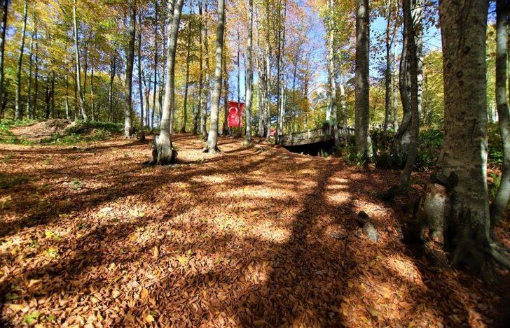 Diriliş Kampları sonbaharda bir başka güzel G4