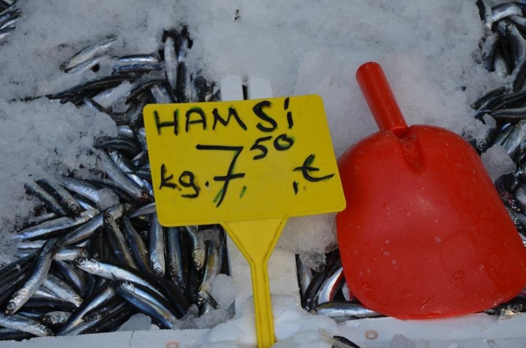 Yerli hamsi tezg&acirc;hlarda 7,5 TL