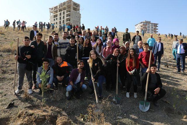 Melikgazi Belediyesi’nin 32 mahallesinde 12 bin 800 fidan dikimi