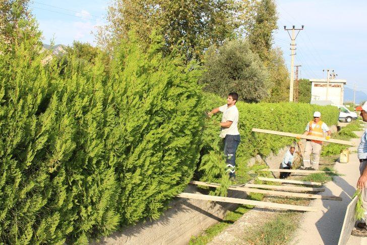 Büyükşehir’den mezarlıklara kapsamlı bakım G2