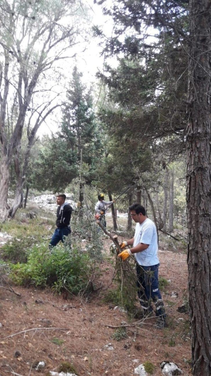 Büyükşehir’den mezarlıklara kapsamlı bakım G3
