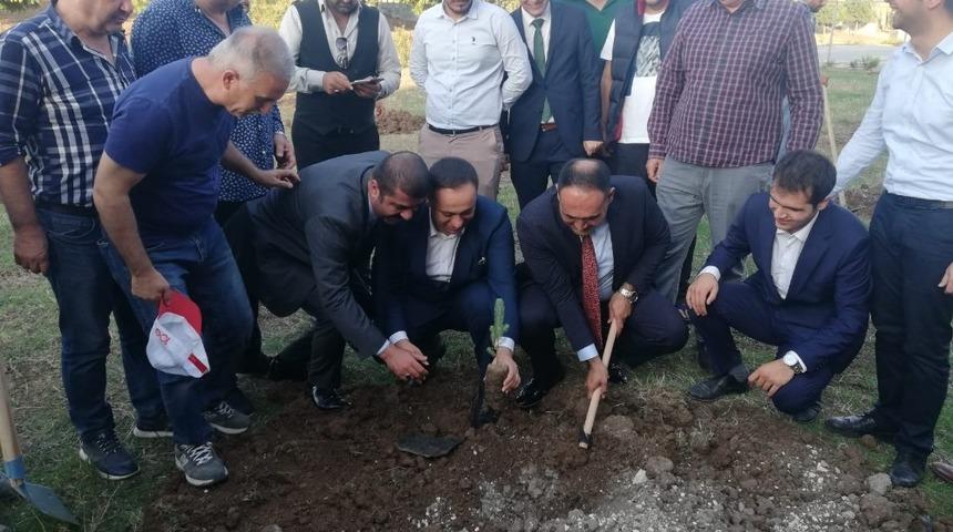 Mersin&rsquo;de &Uuml;lk&uuml; Ocakları &uuml;yeleri fidan dikti