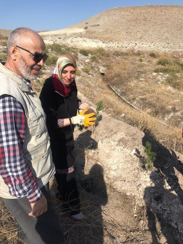 Kayseri Öğretmen Evi 25 kişi ile 550 fidanı toprakla buluşturdu