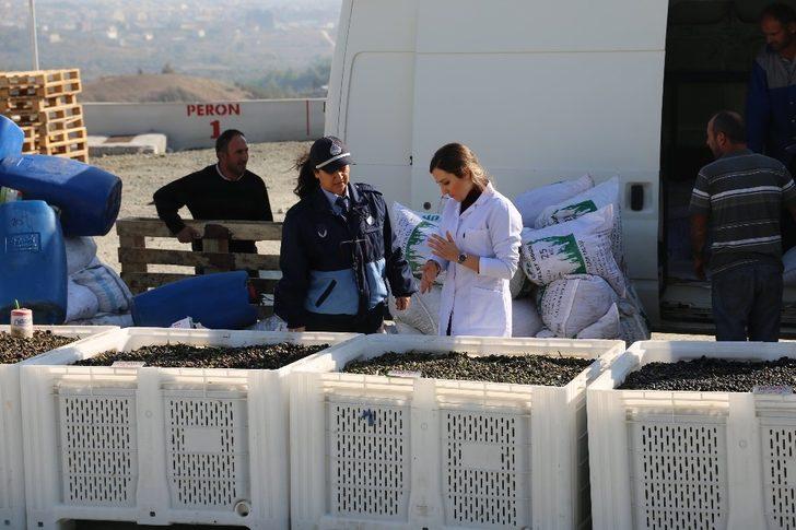 Hatay’da zeytinyağı fabrikalarına sıkı denetim G2