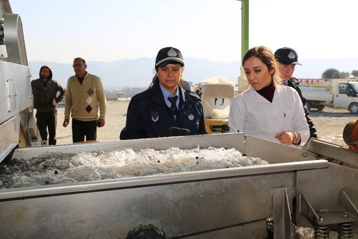 Hatay’da zeytinyağı fabrikalarına sıkı denetim G3