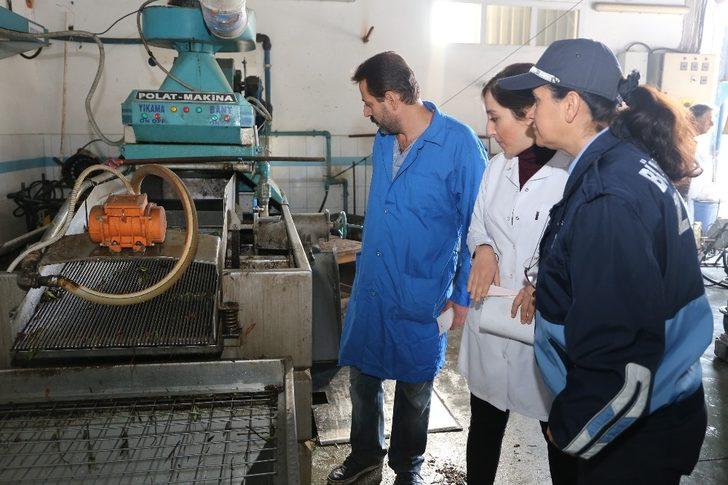 Hatay’da zeytinyağı fabrikalarına sıkı denetim G4
