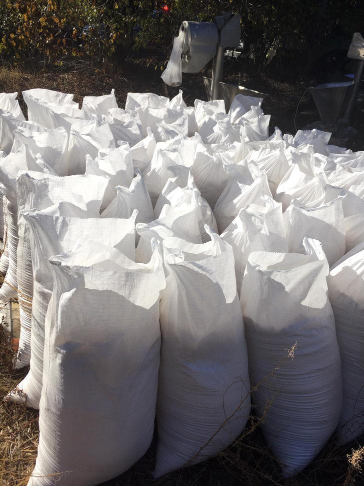 Böceklenen unları piyasaya sürmeye hazırlanıyorlardı! Yakalandılar G2