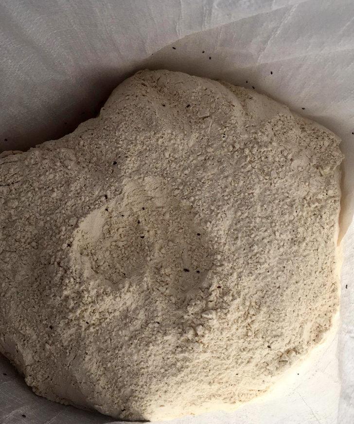 Böceklenen unları piyasaya sürmeye hazırlanıyorlardı! Yakalandılar G3