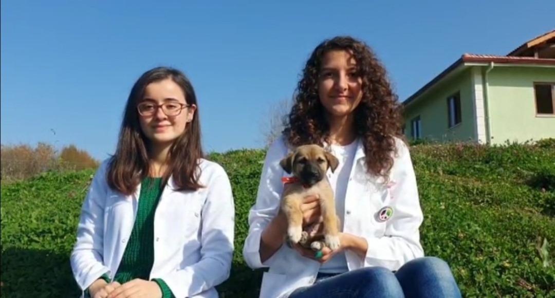 &Ouml;ğrenciler havyan barınağını ziyaret etti