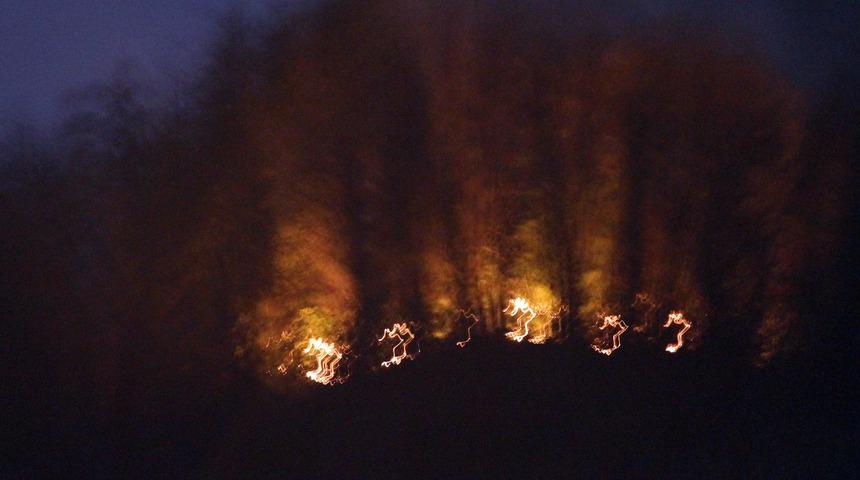 Giresun'da orman yangını