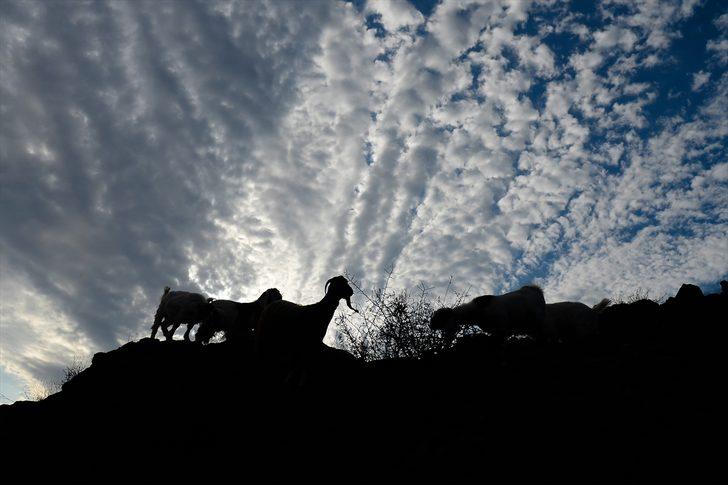 Ağrı Dağı son yaylacıları uğurladı G5