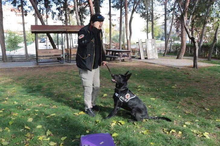 (Özel) Teşkilatın gözdesi Bath, Balıkesir’de göreve başladı G1