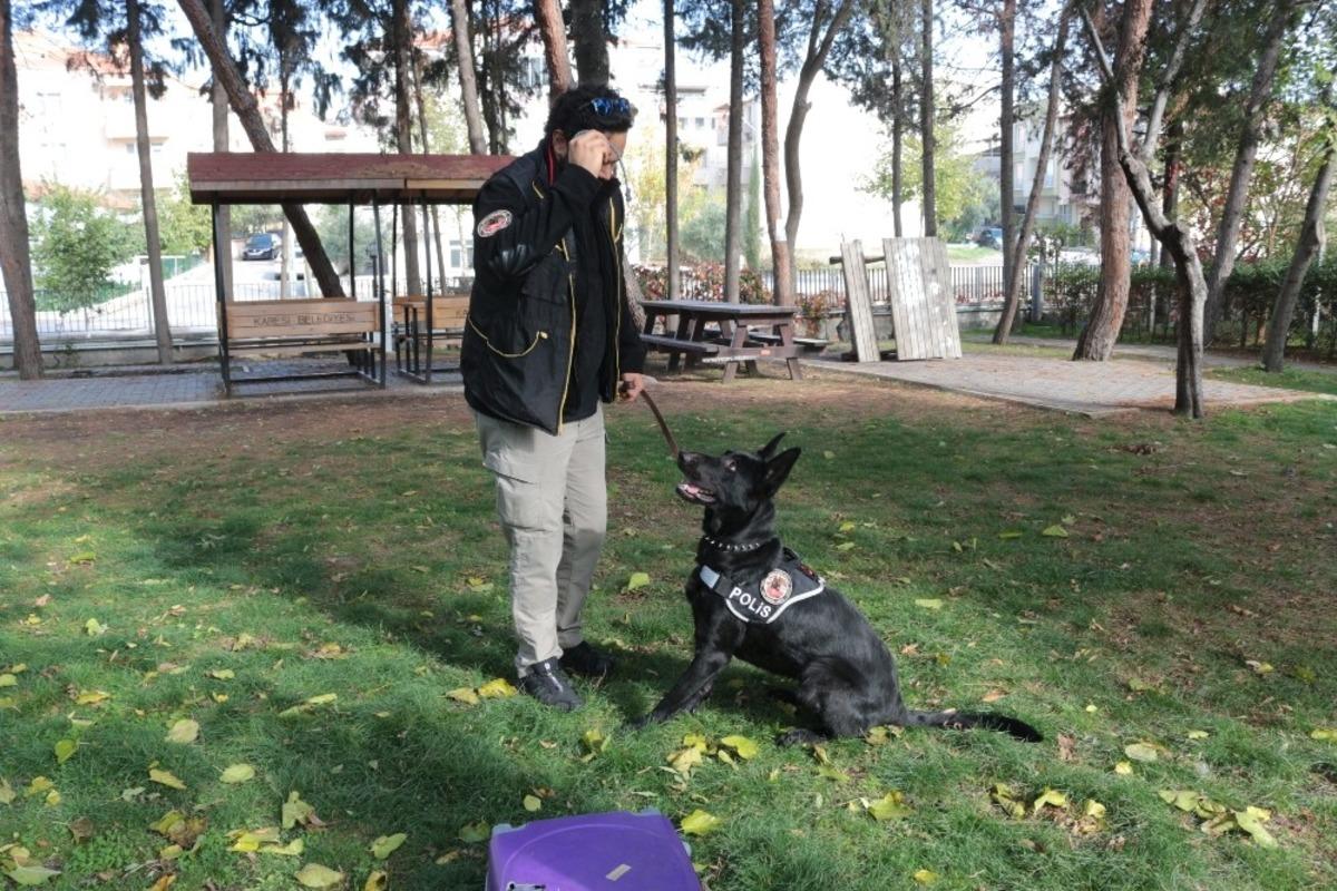 (&Ouml;zel) Teşkilatın g&ouml;zdesi Bath, Balıkesir&rsquo;de g&ouml;reve başladı