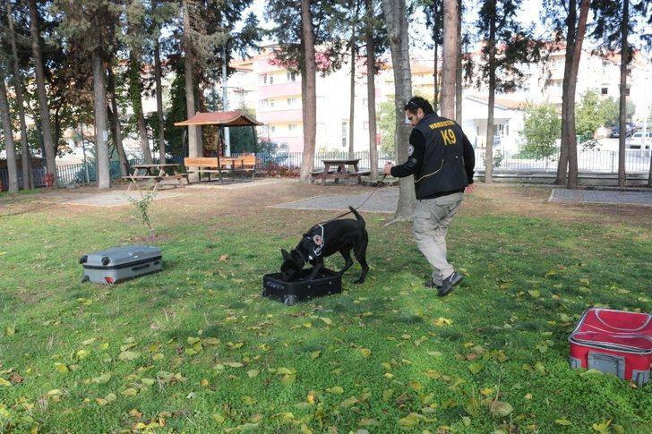 (Özel) Teşkilatın gözdesi Bath, Balıkesir’de göreve başladı G2