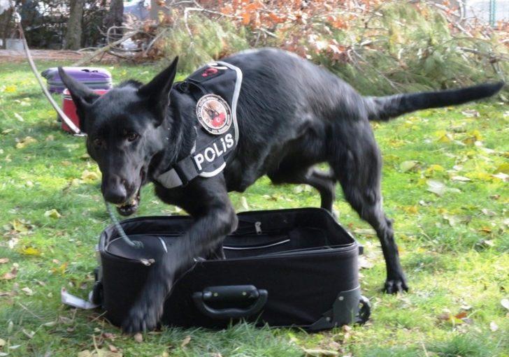 (Özel) Teşkilatın gözdesi Bath, Balıkesir’de göreve başladı G3