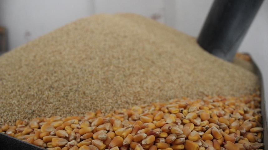 Meyveli boza &uuml;retti, Amerika&rsquo;ya satıyor