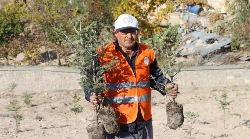 Nevşehir&rsquo;de bin fidan daha dikimi yapıldı