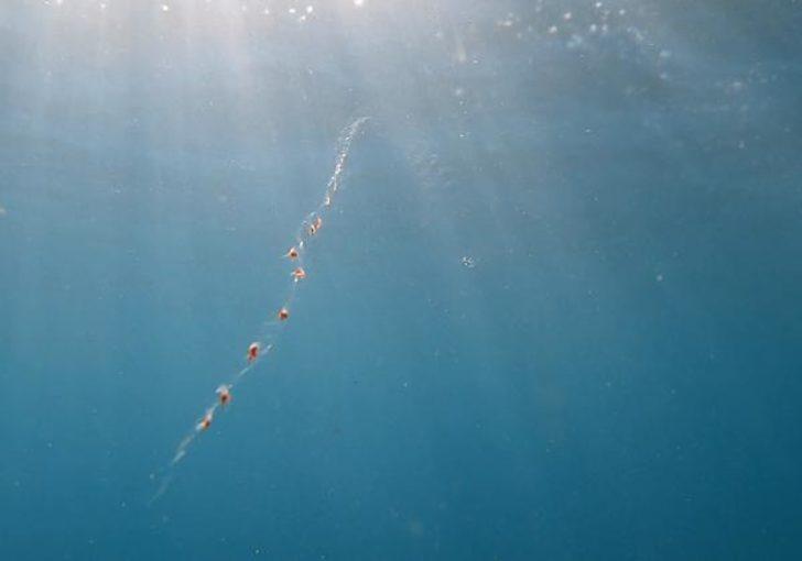 'Konyaaltı sahilinde elektrik var' iddialarına açıklama! Gerçek ortaya çıktı G2