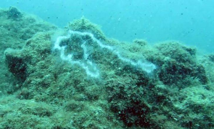 'Konyaaltı sahilinde elektrik var' iddialarına açıklama! Gerçek ortaya çıktı G3