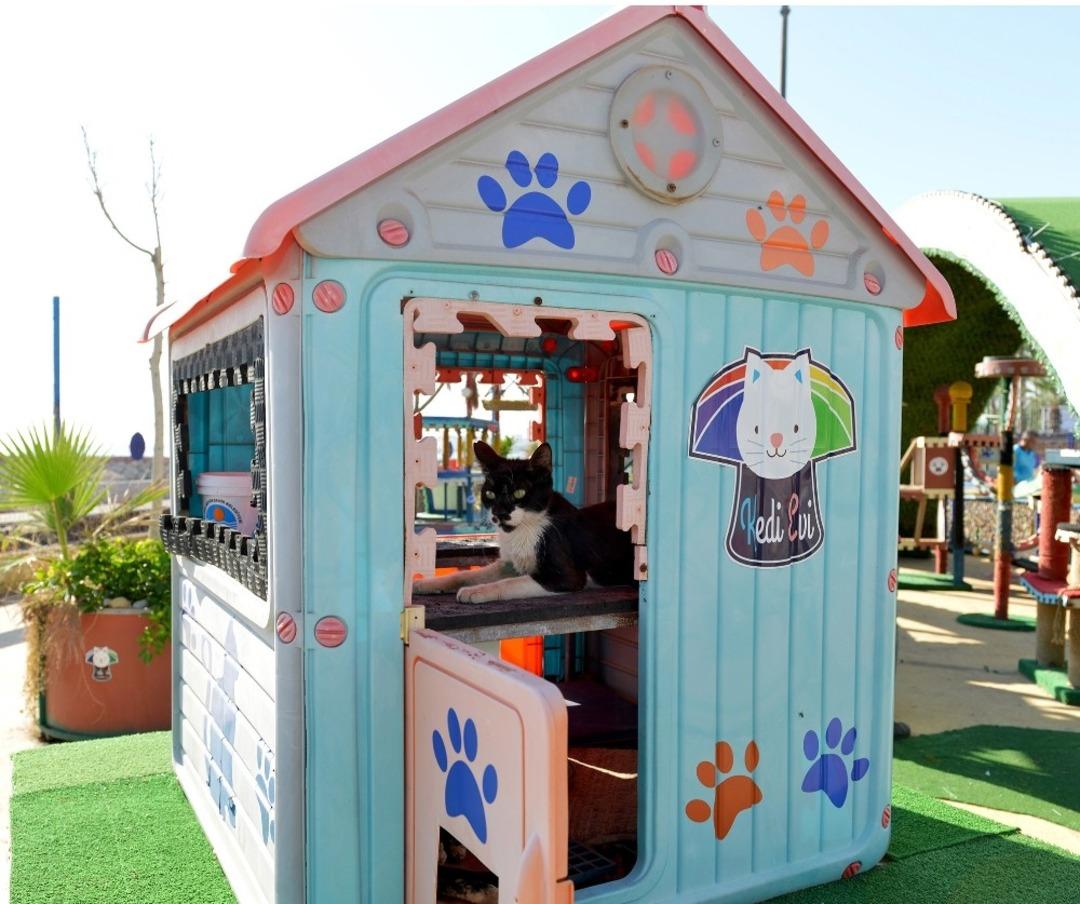 Miyav Park yenilendi