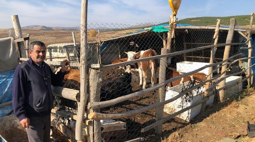 H&uuml;y&uuml;k&rsquo;te  orman k&ouml;yl&uuml;s&uuml; 62 aileye 124 gebe d&uuml;ve desteği