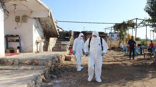 Tilki nedeniyle köy karantinaya alındı