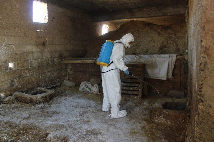 Tilki nedeniyle köy karantinaya alındı G5