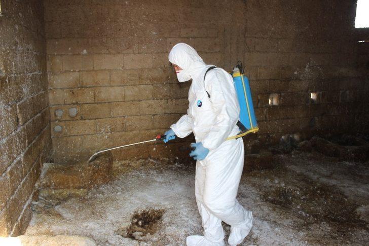 Tilki nedeniyle köy karantinaya alındı G4