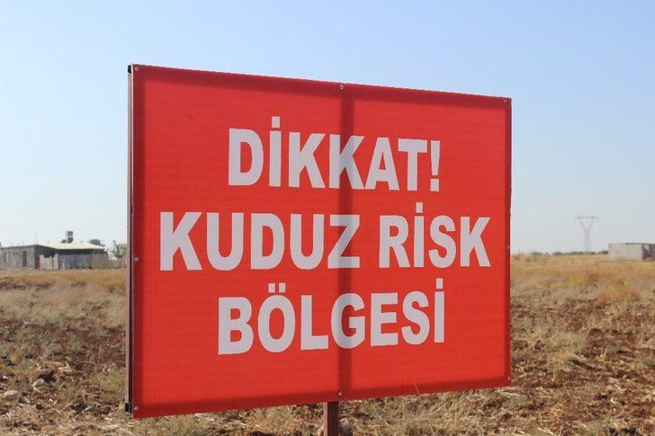 Tilki nedeniyle köy karantinaya alındı G1